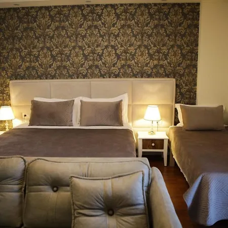 Vila Adel 酒店 科尔察