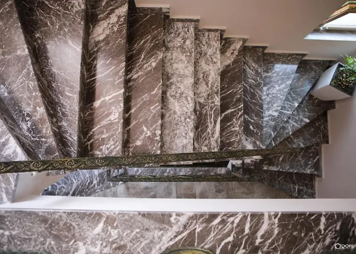 Vila Adel 酒店 科尔察