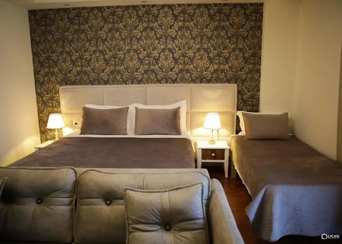 Vila Adel 酒店 科尔察